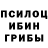 Псилоцибиновые грибы мицелий Masaki Izawa