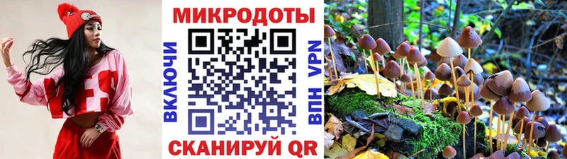 Галлюциногенные грибы Psilocybine cubensis  Невельск 